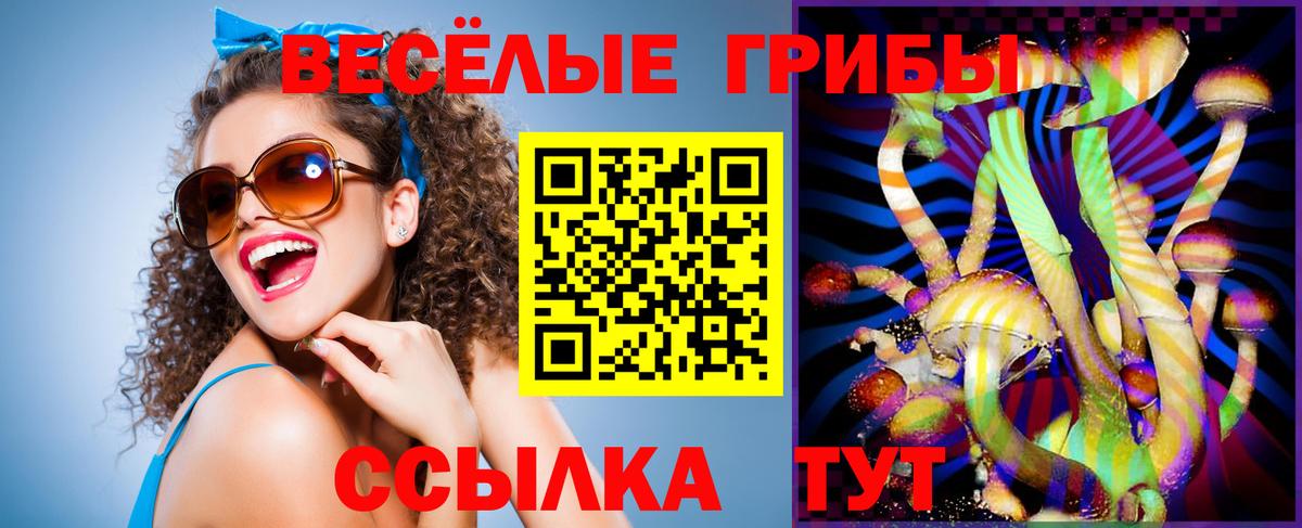 Псилоцибиновые грибы Psilocybe Вичуга